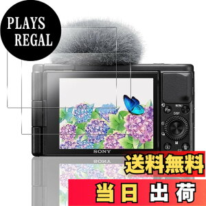 �y���������z�Ή� �K���X�t�B���� + �J�����t�B���� �y�d�x9H�z �����K���X Touch�Ή� �A��U�h�~ �A�Ռ��z�� �A�w��h�~ �A�ȒP�\��t�� �T�C�Y�F�Ή� SONY ZV1 / ZVE10