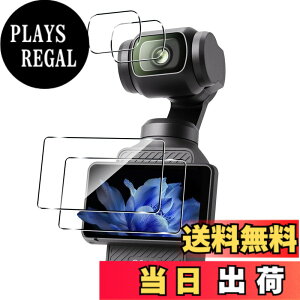 �y���������z�Ή� �K���X�t�B���� �ی�t�B���� ���E���h�G�b�W���H�Ȃ� �T�C�Y�F�Ή� DJI OSMO Pocket 3