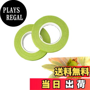 �y���������zDEVENTORZ ���ԃZ�b�g �t�����[���C���[ �� ���� ���p�e�[�v �ԉ� �ԑ� �s�����p DIY ��|�ޗ� �A�N�Z�T���[ �F�F�O���[��