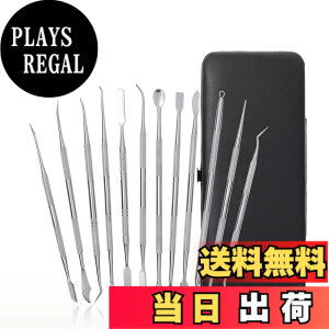 �y���������zaurochs �X�p�`���� �F�F�V���o�[