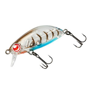 yz_C(DAIWA) o/AW A[ l ܘYZ 36F/36S e FFGrATCYF36mm