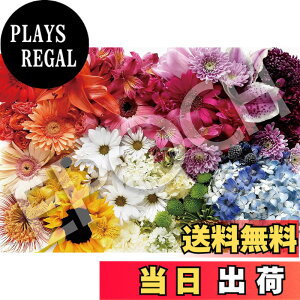 �y���������z�G�|�b�N�� 1053�X�[�p�[�X���[���s�[�X �W�O�\�[�p�Y�� �F�FFlower Rainbow (�t�����[���C���{�[)�A�T�C�Y�F26×38cm