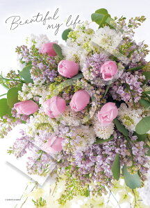 yzG|bN 1053X[p[X[s[X WO\[pY FFr[eBt }C CtATCYF38×53cm