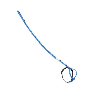 yzPetSafeiybgZ[tjL̃n[lX C[W[EH[N lRpn[lX&oW[[h FFu[ATCYFSTCY (x 1)