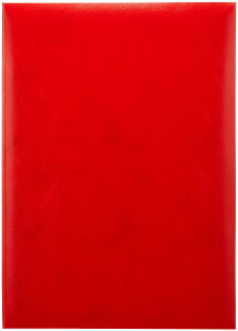 yziJoV z ؏t@C ܏z_[ FFbhATCYFB4