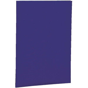 yziJoV z ؏t@C ܏z_[ FFlCr[ATCYFA4