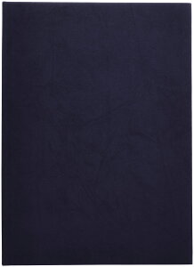 yziJoV z ؏t@C ܏z_[ FFlCr[ATCYFA4