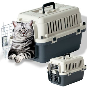 yzv`o ybgL[ ^ ^ ^ FFO[ATCYFDX50A MTCYi^)