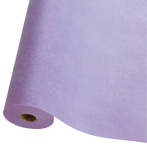 yzwbY sDz[ FF[uATCYF65cm×29m