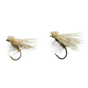 yz_C(DAIWA) eJѐjZbg e FFCG[AO[