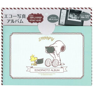 yzTX^[ GR[ʐ^AoV[Y FFXk[s[ATCYFTCY