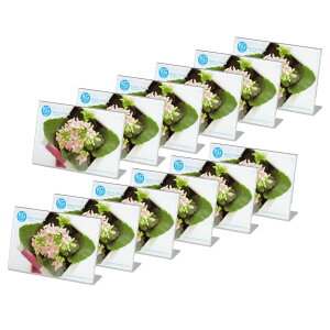 yznNo HAKUBA tHgt[ ANLt[ FFRATCYFKGEnKLTCY(R)