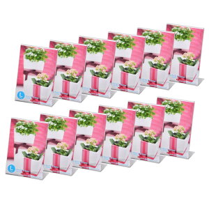 yznNo HAKUBA tHgt[ ANLt[ FF^eATCYFLTCY(^e)