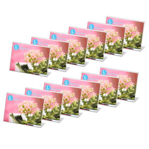 yznNo HAKUBA tHgt[ ANLt[ FFRATCYFLTCY(R)