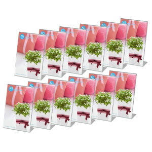 yznNo HAKUBA tHgt[ ANLt[ FF^eATCYFKGEnKLTCY(^e)