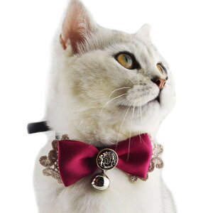 yzlR  Lт  ybg̎ qL̎֗t S PU U[ yq  blR  b qLցbLpցbpցz FFM bhATCYFSTC