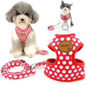 yzZUNEA p n[lX [h Zbg  hbg \tgbV  `p U ybgpi hbOEFA ^p FFbhATCYFS