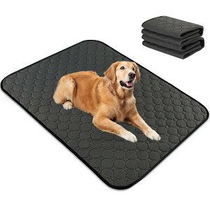 yzybgp }bg  xbh NbV h   􂦂 Ďgp\ pbh  L}bg FFubNATCYFMi񖇁j