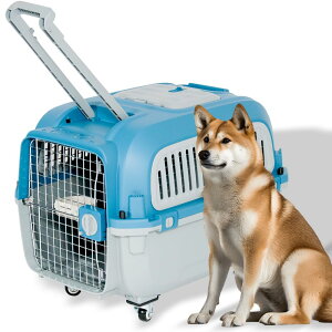 yzv`o ybgL[ ^ ^ ^ FFO[×u[ATCYFPM70 LLTCYEVgrt(^/LX^[Enht)