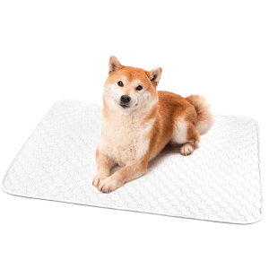 yzybgV[c 􂦂 L p pbh ybgp gC~}bg  􂦂 唻TCY ɍœK FFzCgATCYFLi2Zbgj