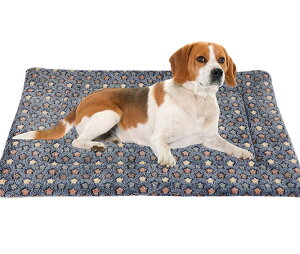 yzBidason ybgNbV ybg }bg ӂӂ  }bg XNGA^ ybgxbh 􂦂  ۉzc ^p _炩 薰 K ΍ yb