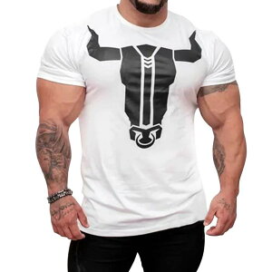 yzMusgneer(}XG) g[jOEFA  Y WTVc X|[cVc gbvX tBbglXEFA ؃g ^p 傫TCY FFzCgATCYF3XL