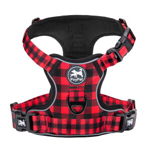 yzPoyPet n[lX 񂪊J܂  ^ \tg S ȒPE P݌y ߉\ ˍ h~ ԍڌ\ ϋv V s⏕ p FFԍiqATCY