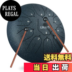 �y���������z�X���b�g�h���� �X�`�[���^���O�h���� LEKATO �����h���� 11�� 6�C���` �Ŋy�� �}���b�g ���[�o�b�O�t�� �ґz ���K �T �F�F�l�C�r�[�u���[�i10�C���`�j