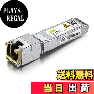 �y���������z10Gtek 10GBase-T SFP+���W���[��, 10G-T, 10G�J�b�p�[, RJ-45 SFP+ CAT.6a, �ő�30m, ���g�����V�[�o �F�Fx1�A�T�C�Y�F1����