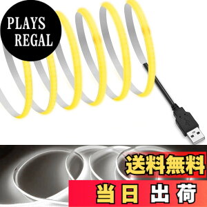 �y���������z�yRYE�z COB �e�[�v���C�g5MMLED�X�g���b�v���C�g�t���L�V�u�� �F�F�����F6000K�A�T�C�Y�FUSB�ڑ�-5V-2m