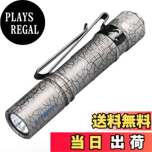 �y���������zACEBEAM Pokelit AA �����d�� ���� 1000���[���� �P�O�d�r�ɑΉ� ���^ �y�� IP68�h�� �ő�9���̎��s���� ���肵���p�t�H�[�}���X �������イ�ł�Ƃ� led���C�g �t���b�V�����C�g �F�F�`