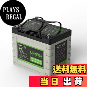 �y���������zRoyPow 12V LiFePO4 �����_�S���`�E���C�I���o�b�e���[
