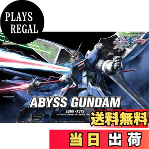 �y���������zHG �@����m�K���_��SEED DESTINY �A�r�X�K���_�� 1/144�X�P�[�� �F�����ς݃v�����f�� �F�F�u���[�ƃV���o�[