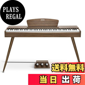 �y���������zDonner �d�q�s�A�m 88���� DDP-80 �F�F�E�H�[���i�b�g�A�T�C�Y�FDDP-80