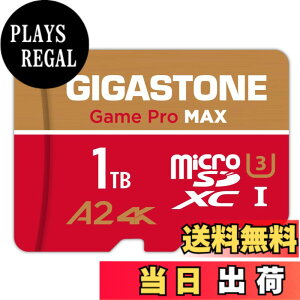 �y���������zGIGASTONE �}�C�N��sd�J�[�h 512-4M-1 Core Group �F�F1TB Game Pro Max 1���Z�b�g