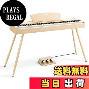 �y���������zDonner �d�q�s�A�m 88���� DDP-80 �F�F�I�[�N�x�[�W���A�T�C�Y�FDDP-80