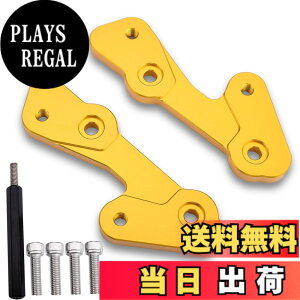 �y���������zLEDISHUN �o�b�N�X�e�b�v �A�W���X�^�[ 30mm �A�b�v 25mm �o�b�N �J���T�L ZX-25R(2020-2023) ZX-4R ZX-4RR (2023+)�ɓK�p �F�F�S�[���h