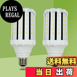 �y���������zlow watt led light bulbs �F�F25W WW DOUBLE