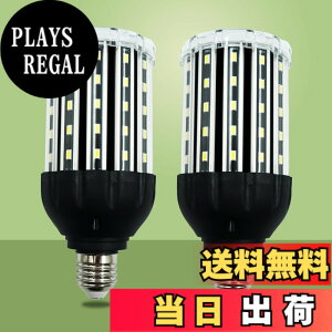 �y���������zlow watt led light bulbs �F�F25W WW BLACK DOUBLE