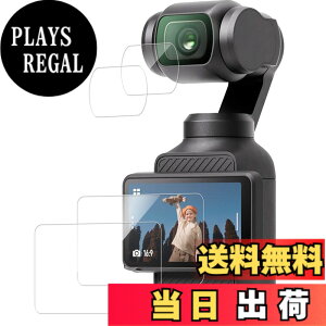 �y���������zKPNS ���{�f�ސ� �����K���X �p �K���X�t�B���� �J�����t�B���� �ی�t�B���� �T�C�Y�F2-DJI Osmo Pocket 3