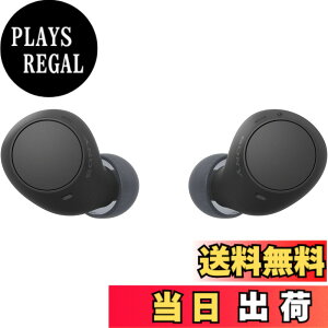 �y���������z�\�j�[(SONY) ���S���C�����X�C���z�� WF-C500/WF-C510 :/�����x�ʘb�i��/IPX4�h�H���\ �F�F�u���b�N�A�T�C�Y�F���^�y��