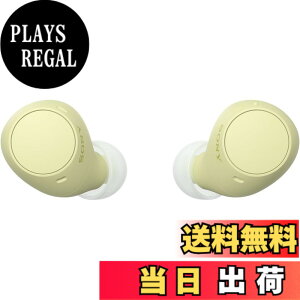 �y���������z�\�j�[(SONY) ���S���C�����X�C���z�� WF-C500/WF-C510 :/�����x�ʘb�i��/IPX4�h�H���\ �F�F�C�G���[�A�T�C�Y�F���^�y��