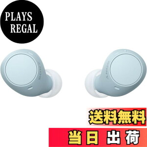 �y���������z�\�j�[(SONY) ���S���C�����X�C���z�� WF-C500/WF-C510 :/�����x�ʘb�i��/IPX4�h�H���\ �F�F�u���[�A�T�C�Y�F���^�y��