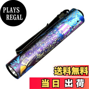 �y���������zACEBEAM Rider RX 2.0 �����d�� LED ���^ �y�� ���� ���邳�ő�1000���[���� �t���b�V�����C�g �P�O�Ή� IP68�h�� ����̎����^�сA�A�E�g�h�A�A�o�R�A�n�k�ЊQ�ȂǂɓK���Ă��܂� �F�F