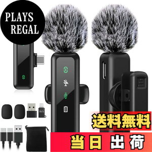 �y���������z�yBILIWAL 2024�V�o��z �s���}�C�N ���C�����X iPhone/iPad/PC�Ή� �T�C�Y�FType-C ��M�@ + ���M�@ x 2