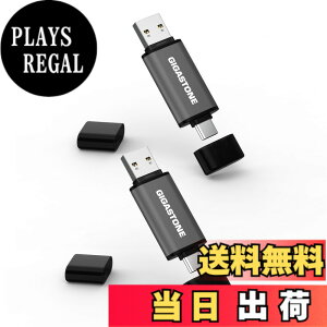 �y���������zUSB Flash drive Z40 Z60 128-512GB 1,2,5,10PK Group UG5 �F�F�V���o�[�O���[�A�T�C�Y�F128GB*2�Z�b�g