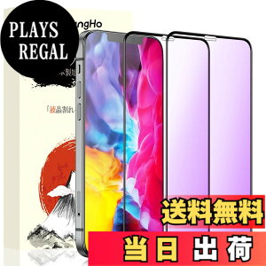 �y���������z�K���X�t�B���� �����K���X �ی�t�B���� pixel xperia iphone �p �F�F�u���[���C�g�J�b�g-���g�A�T�C�Y�FiPhone 12/12Pro