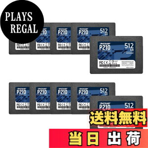 �y���������zPatriot P210 Parent Solid State Drive SSD �F�F�u���b�N�A�T�C�Y�F512GB 10 Pack