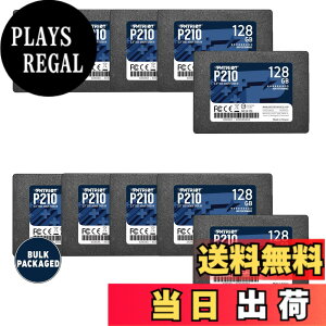 �y���������zPatriot P210 Parent Solid State Drive SSD �F�F�u���b�N�A�T�C�Y�F128GB 10 Pack Bulk Packaging