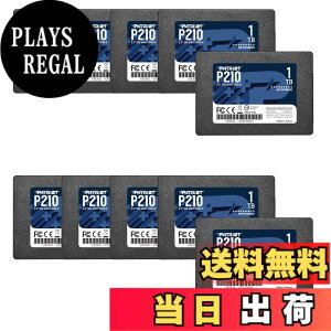 �y���������zPatriot P210 Parent Solid State Drive SSD �F�F�u���b�N�A�T�C�Y�F1TB 10 Pack Retail Packaging